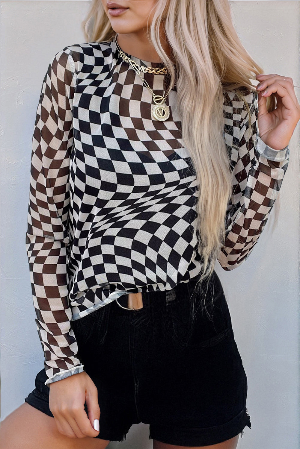 Mesh Mischief Long Sleeve Top