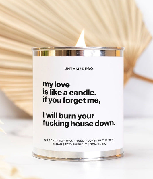 My Love Is Like A Candle If You Forget Me I Will Burn Your Fucking House Down 16oz Paint Can Candle